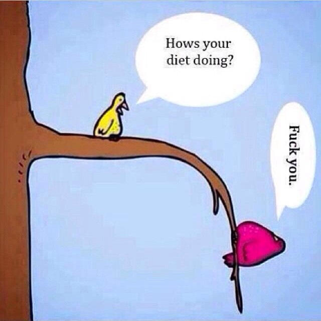 #diet #birds #habal
