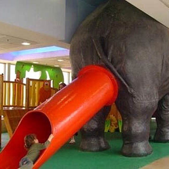 #elephant #children #playground #fail #HabaLdotCom
#هبل_دوت_كوم