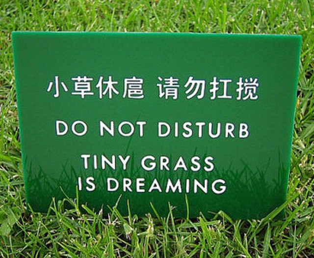 #signs #translation #grass #habal