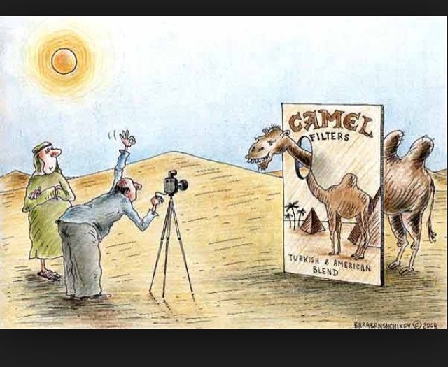 #camel #trophy #photo #desert #habal #هبل
#HabaLdotCom
#هبل_دوت_كوم