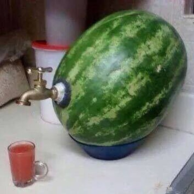 #watermelon #tap #genius #habal #هبل
#HabaLdotCom
#هبل_دوت_كوم