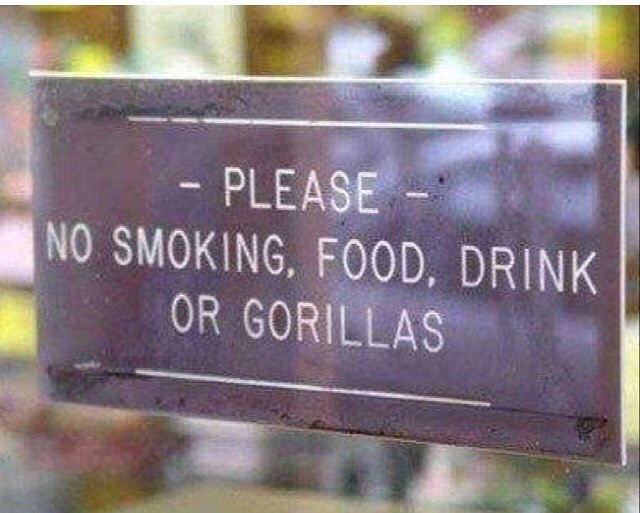 #no #smoking #food #drink or #gorillas #signs #habal #هبل #habaldotcom