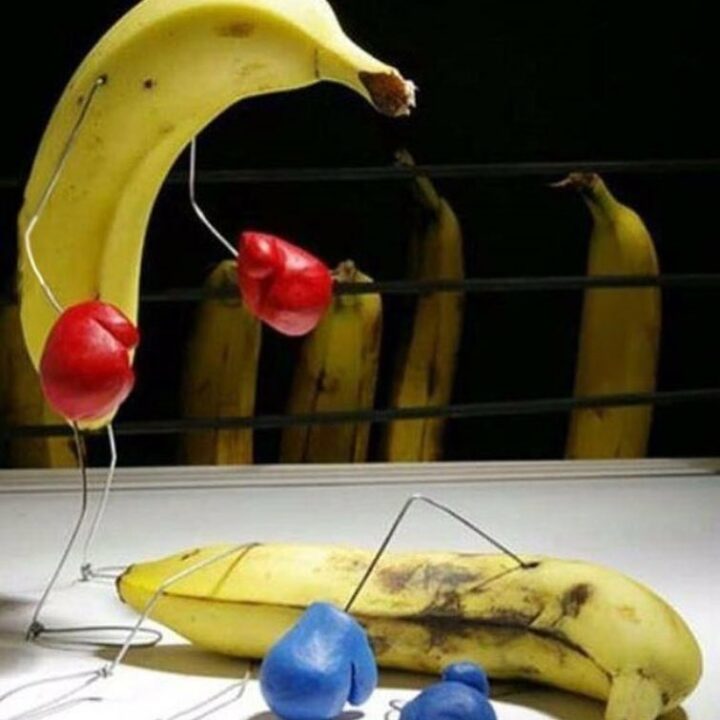 #bananas #food #byday #boxers #bynight #truth #habal #هبل #habaldotcom