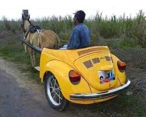 #latest #VW #onehorsepower #mule #strength #habal #هبل #habaldotcom