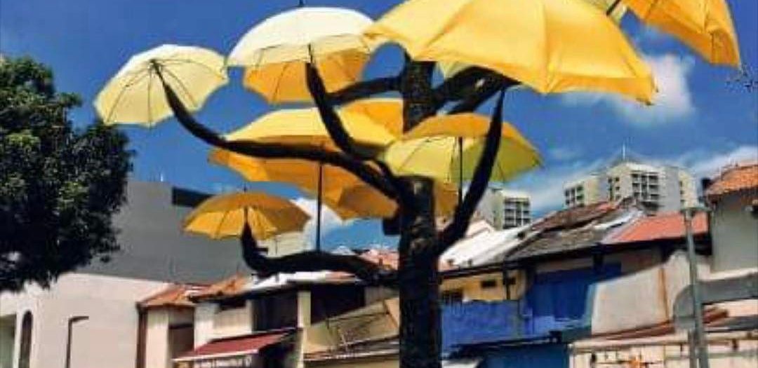 #umbrella #tree #art #win #habal #هبل #habaldotcom