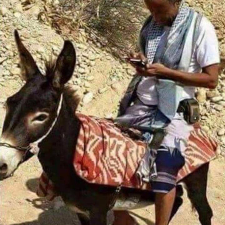 #sayno to #texting and #driving even on a #donkey #habal #هبل #habaldotcom