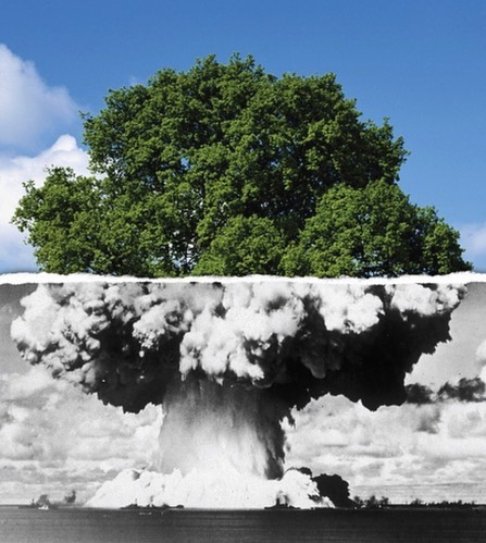 #atomic #tree of #habal #هبل #habaldotcom